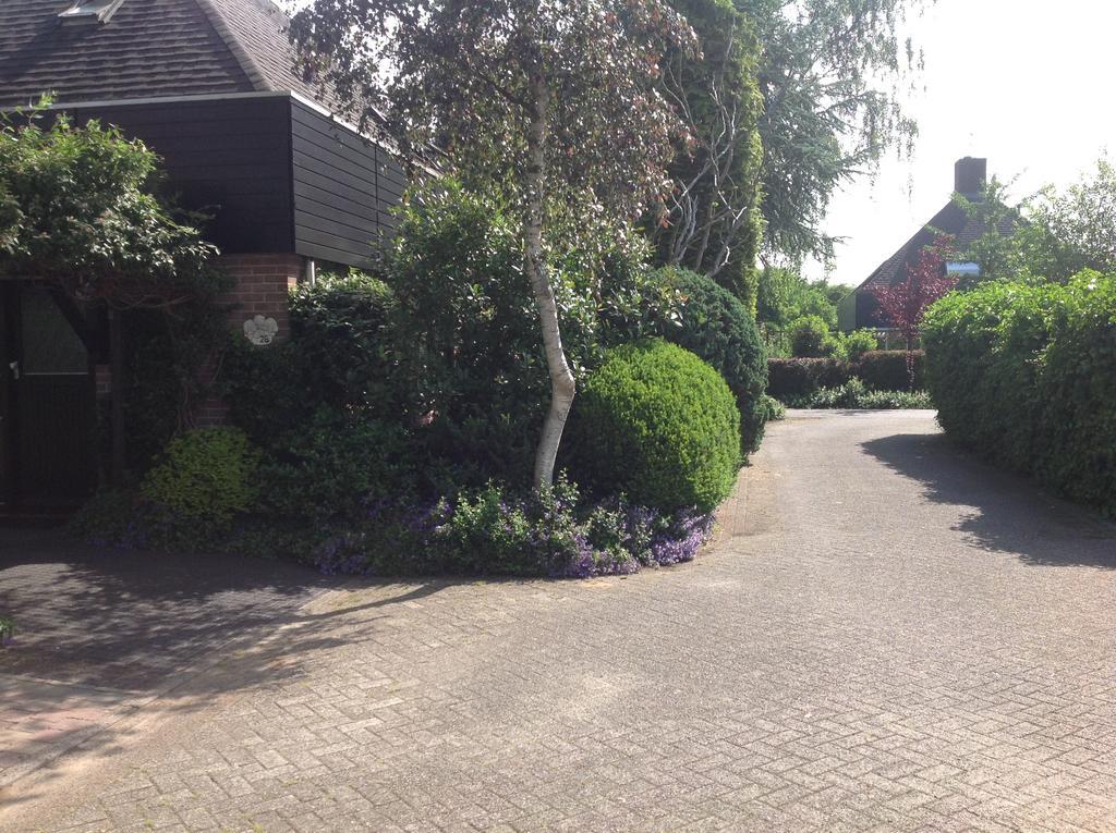 B&B Molenzicht Warnsveld ภายนอก รูปภาพ