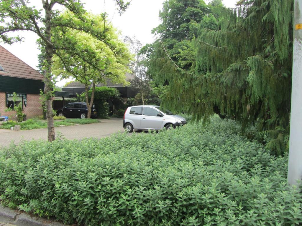 B&B Molenzicht Warnsveld ภายนอก รูปภาพ